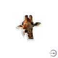 giraffe - Copperchio