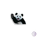 Panda - Copperchio
